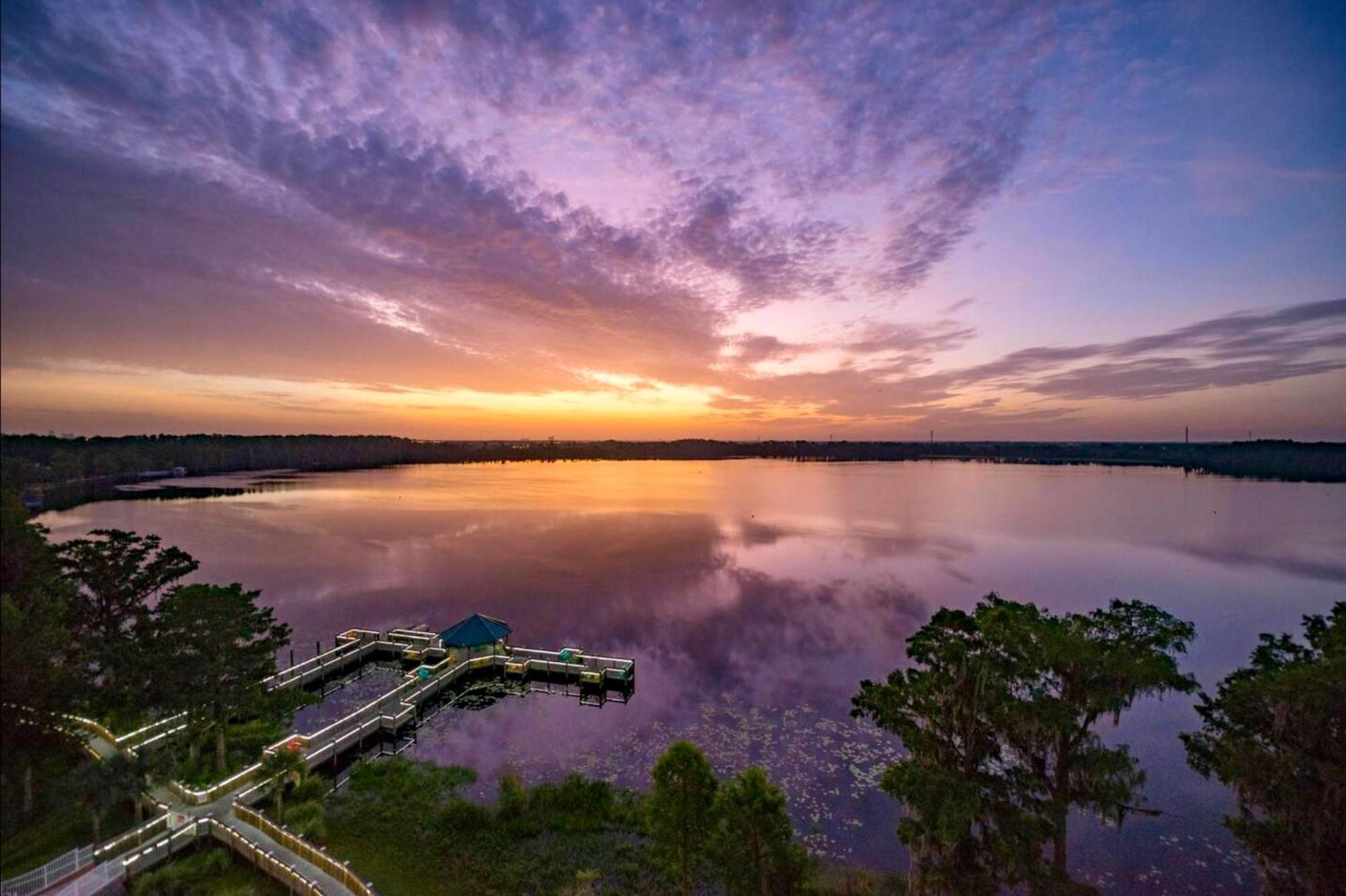 Balcony King Suite - Lake & Pool View Orlando Exteriör bild